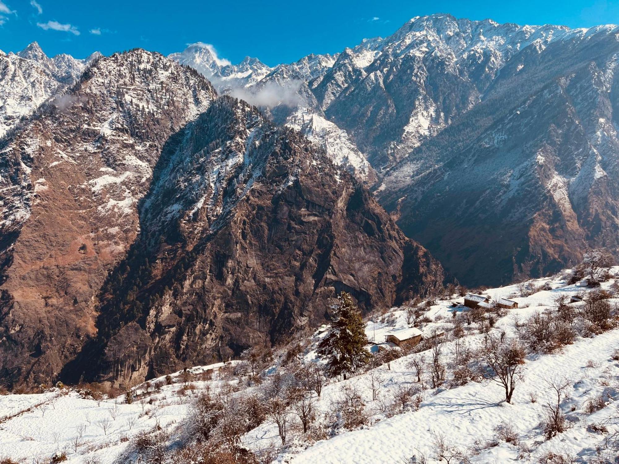 Faraway Cottages, Auli Джошимат Экстерьер фото