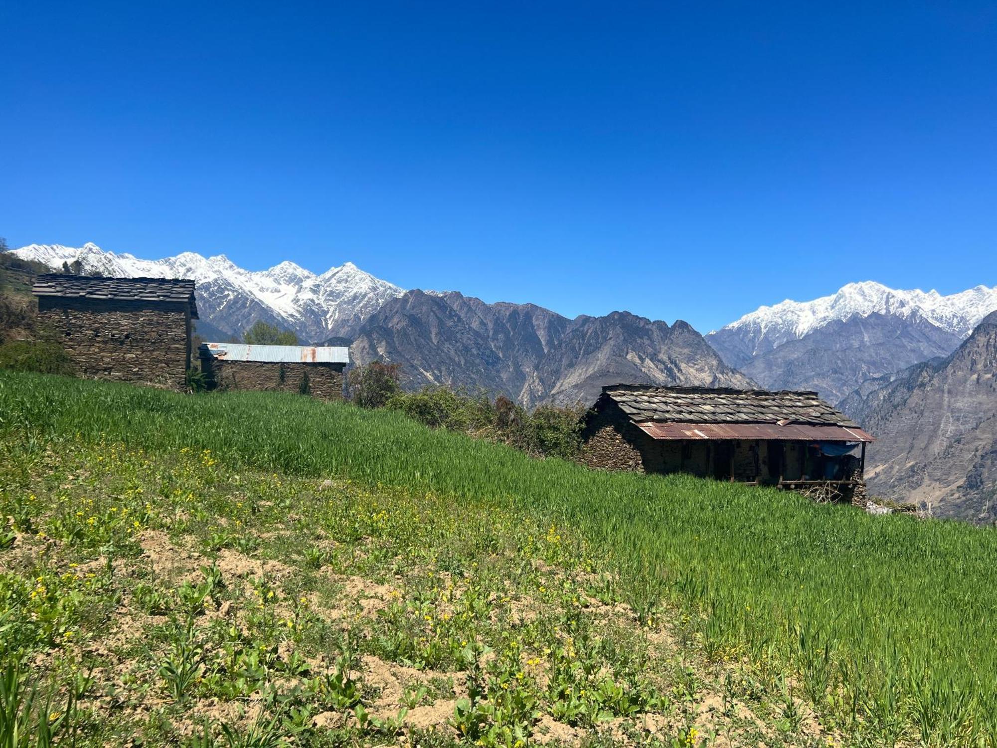 Faraway Cottages, Auli Джошимат Экстерьер фото