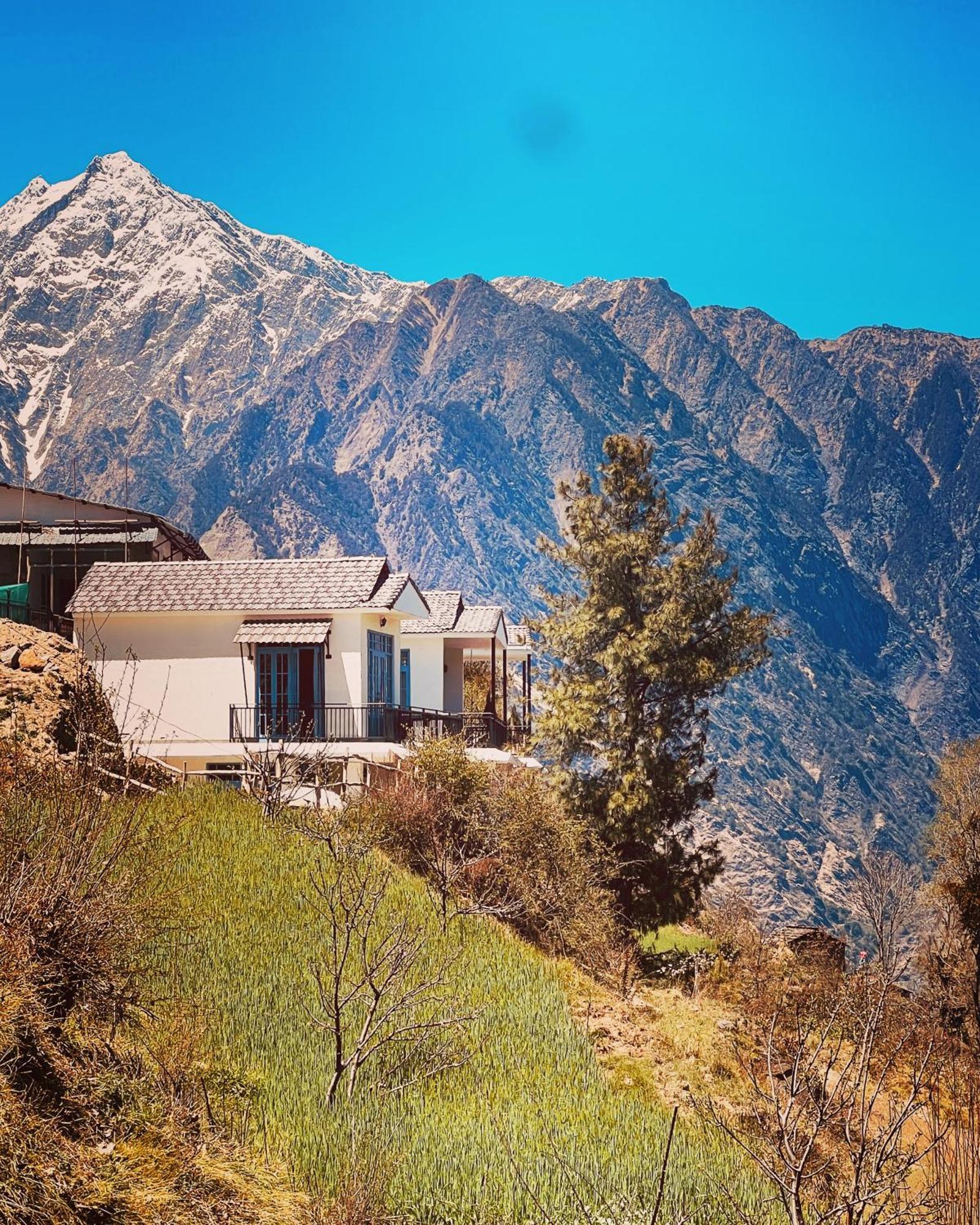 Faraway Cottages, Auli Джошимат Экстерьер фото