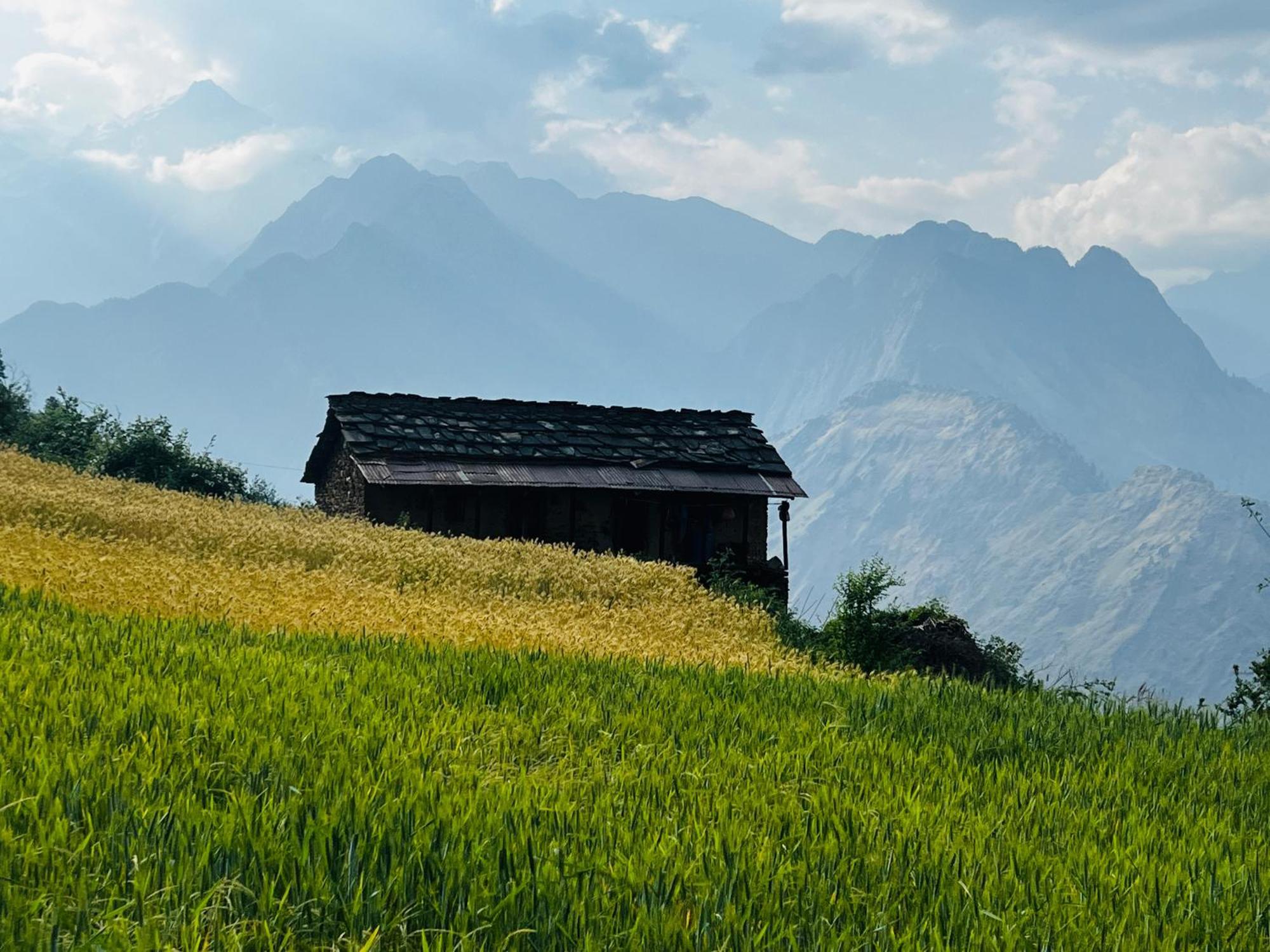 Faraway Cottages, Auli Джошимат Экстерьер фото